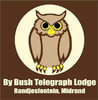 By Bush Telegraph Lodge (Pty) LTD image 9